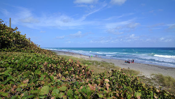 Ocean Cay Park