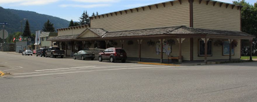 Salmo Public Library Assn
