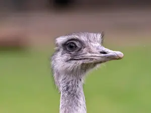 Dessau, Lehrpark für Tier und Pflanzenkunde Zoo
