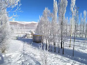 Usonbak yurt camp