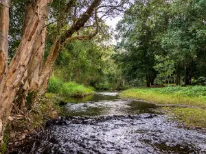 Running Creek Camping