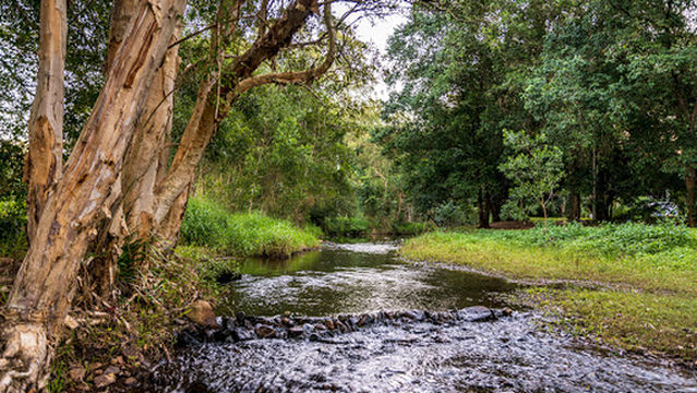 Running Creek Camping