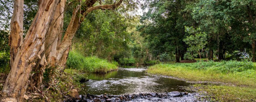 Running Creek Camping