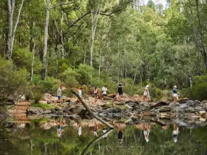 Nanga Bush Camp