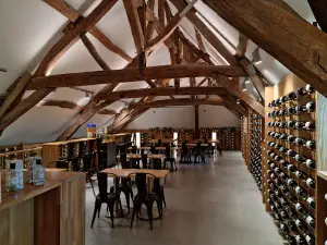Cité Internationale de la Gastronomie et du Vin