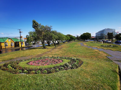 Monumento al Ovejero