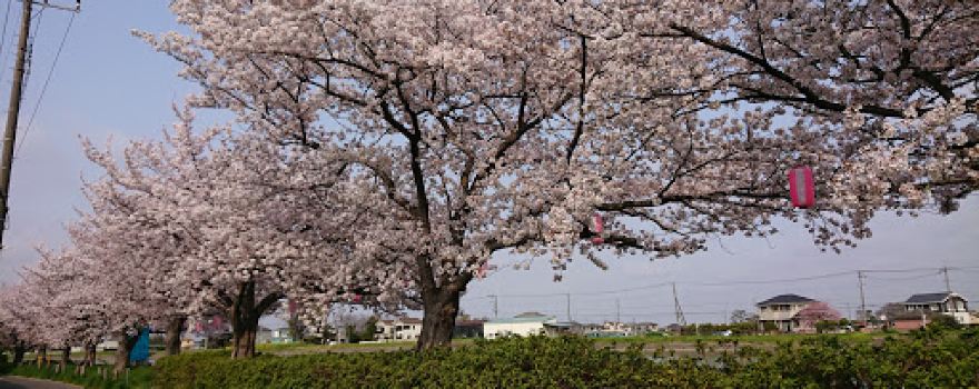 Tanaka Dai 4 Park