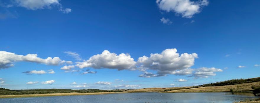 Waverley Lakes & Park