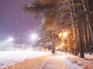 Парк "Сосны"