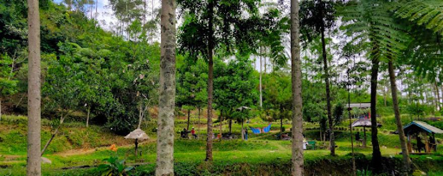 Wisata Kebun Kina Bukit Unggul