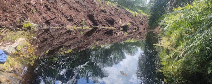 Air terjun Gambut Perkebunan PT CSM
