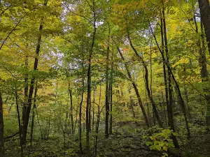 Parfrey's Glen State Natural Area