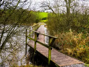 Killyfole Lake Scenic Walk