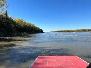 River Life Airboat Tours