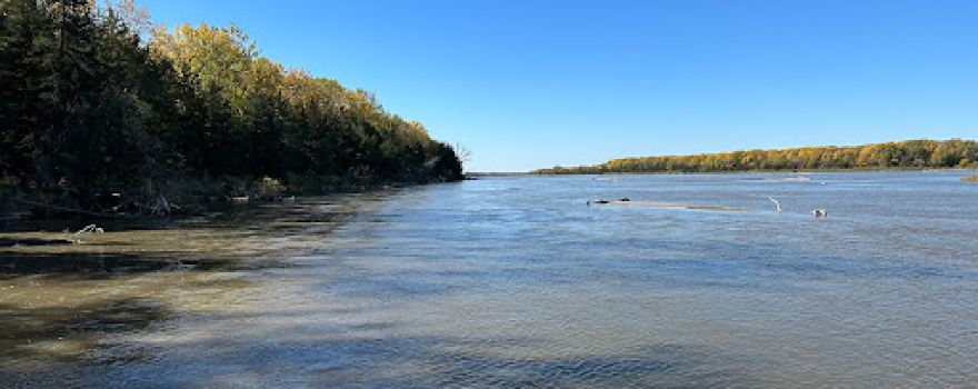 River Life Airboat Tours