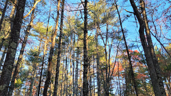 Horseshoe Mill - Buzzards Bay Coalition