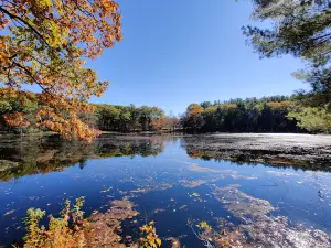 Maple Hill Disc Golf