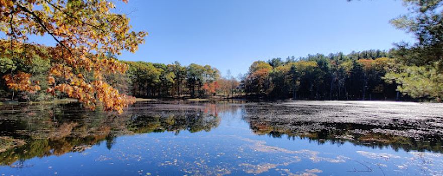 Maple Hill Disc Golf