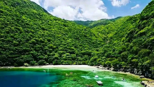 Parish of Our Lady of Perpetual Help