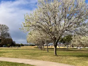 Moruya Riverside Park