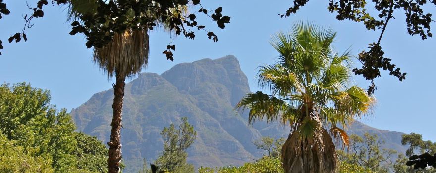 Arderne Gardens