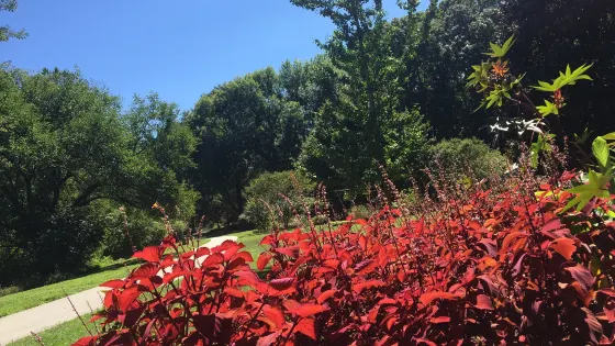 Greensboro Arboretum