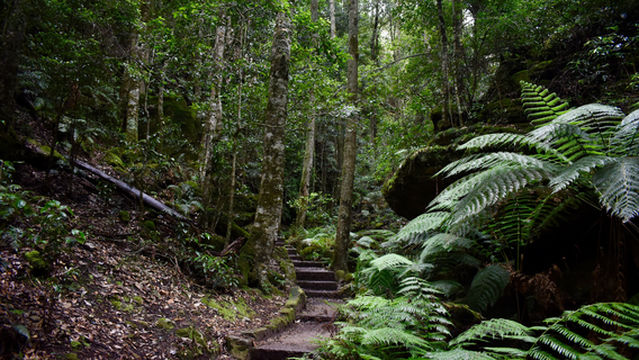 Grand Canyon Walking Track