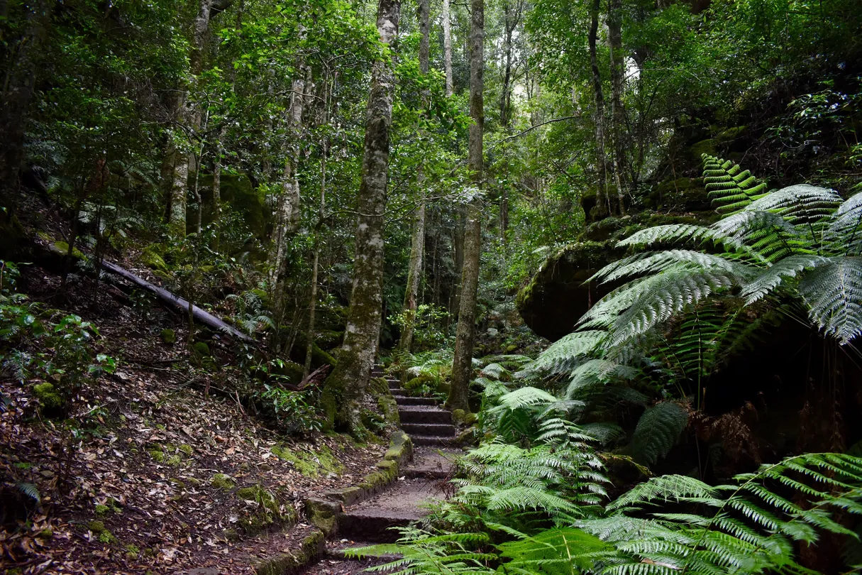 5_Grand Canyon Walking Track
