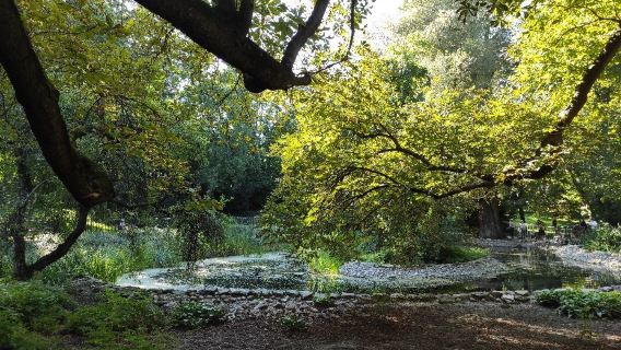 Saxon Garden