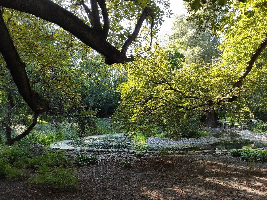 Saxon Garden