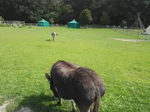 Tierpark Sommerhausen