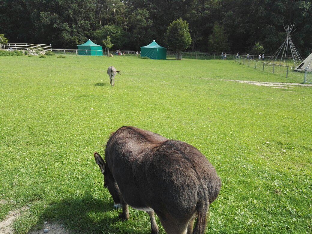 Tierpark Sommerhausen