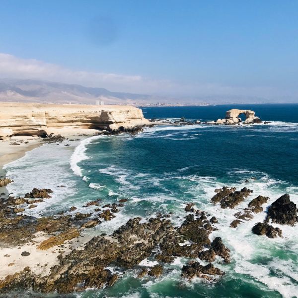 Flüge von Cali nach Antofagasta