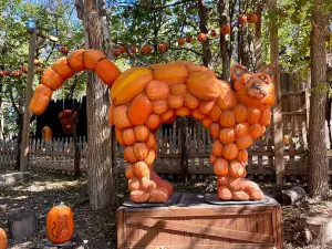 Vala's Pumpkin Patch & Apple Orchard