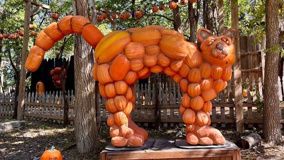 Vala's Pumpkin Patch & Apple Orchard