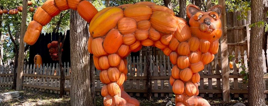 Vala's Pumpkin Patch & Apple Orchard