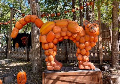 Vala's Pumpkin Patch & Apple Orchard