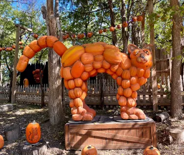 Vala's Pumpkin Patch
