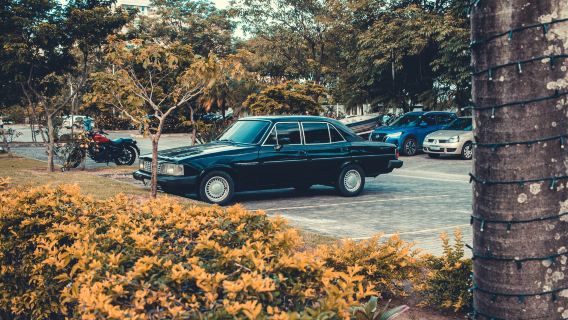Parque da Cidade