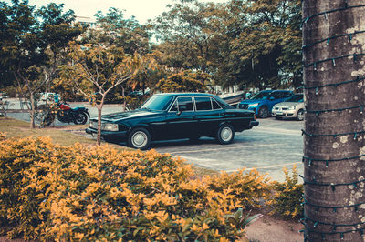 Parque da Cidade