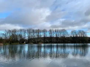 Brierley Forest Park