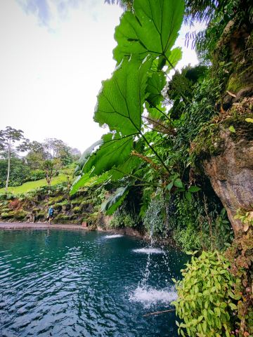 Alajuela