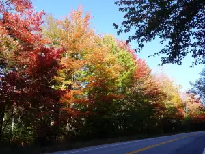 Green Mountain National Forest