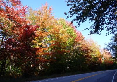 Green Mountain National Forest