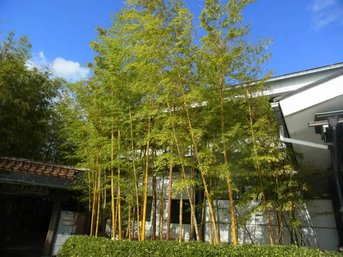 Hotel in zona Echizen Takeningyo no Sato