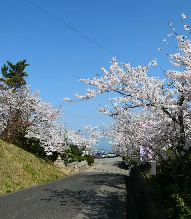 Tadotsu