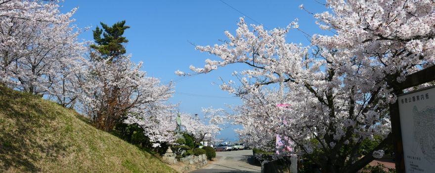 Toryo Park