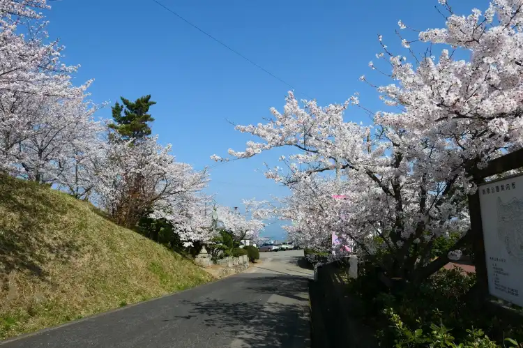 Hotels in Tadotsu
