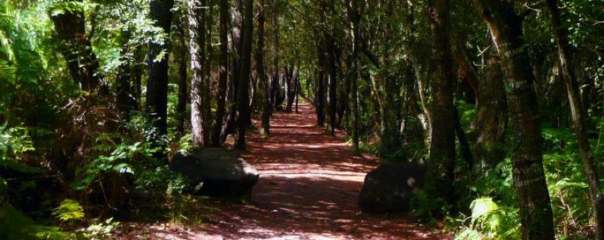 Brocéliande