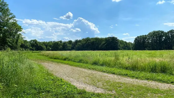 Lincoln Memorial Garden